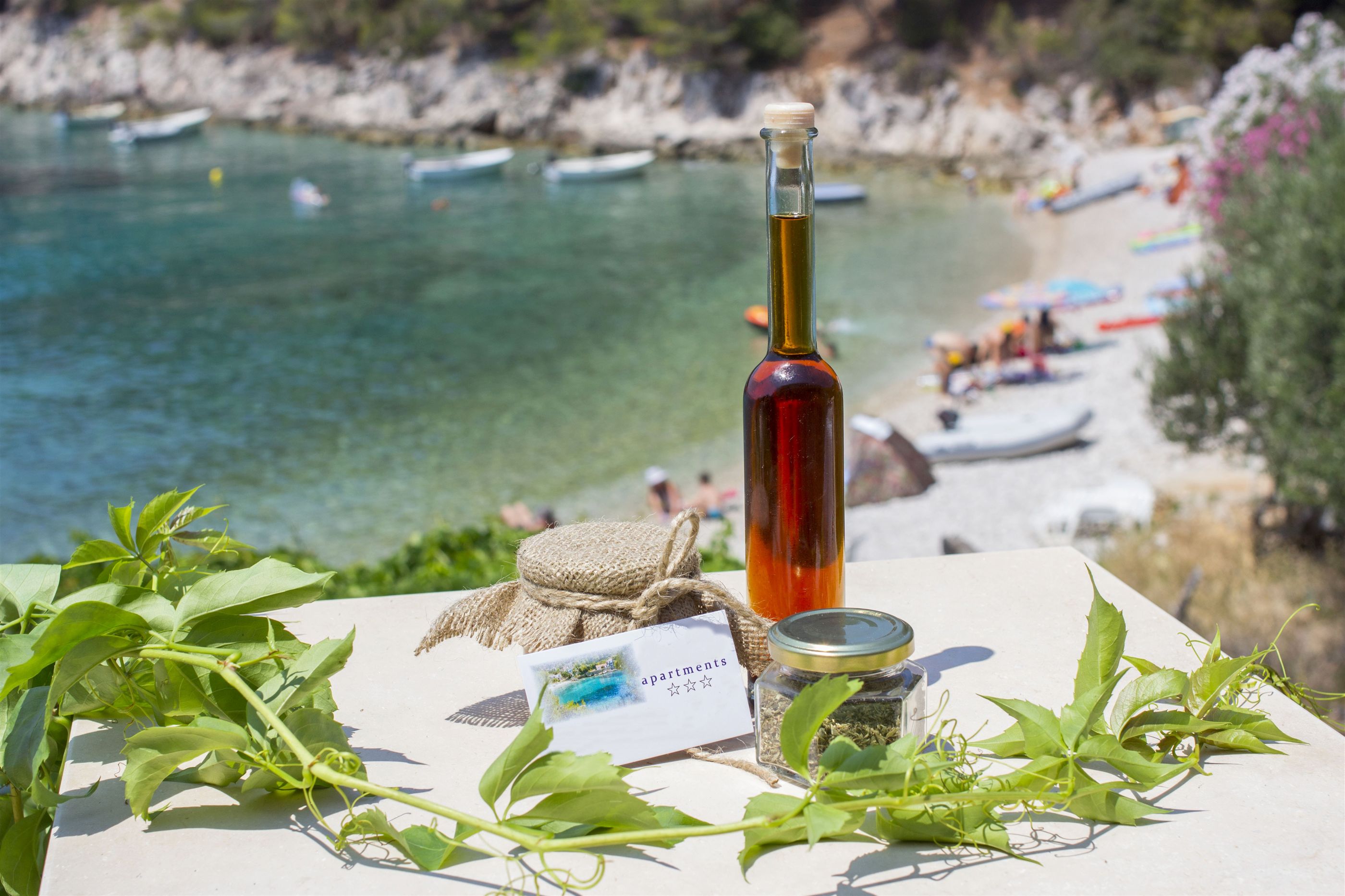 Ferienhaus in Gdinj - island Hvar (Kroatien) und 2 Hunde erlaubt