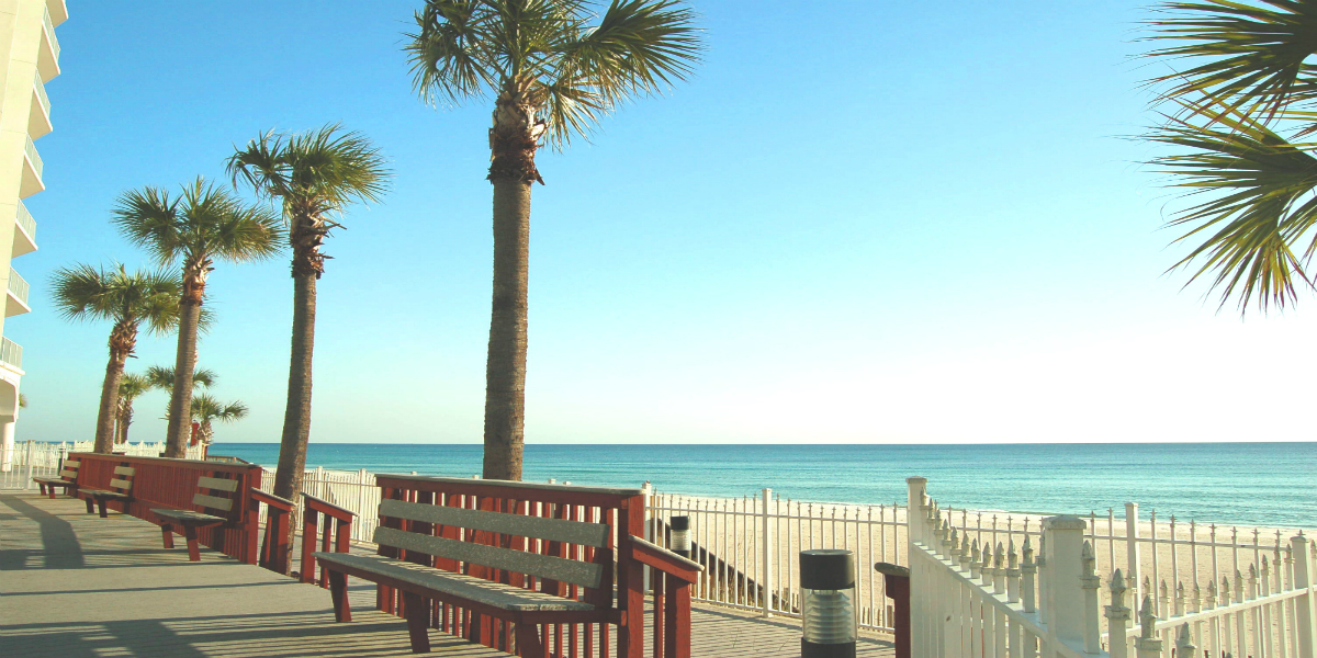 Photo #36