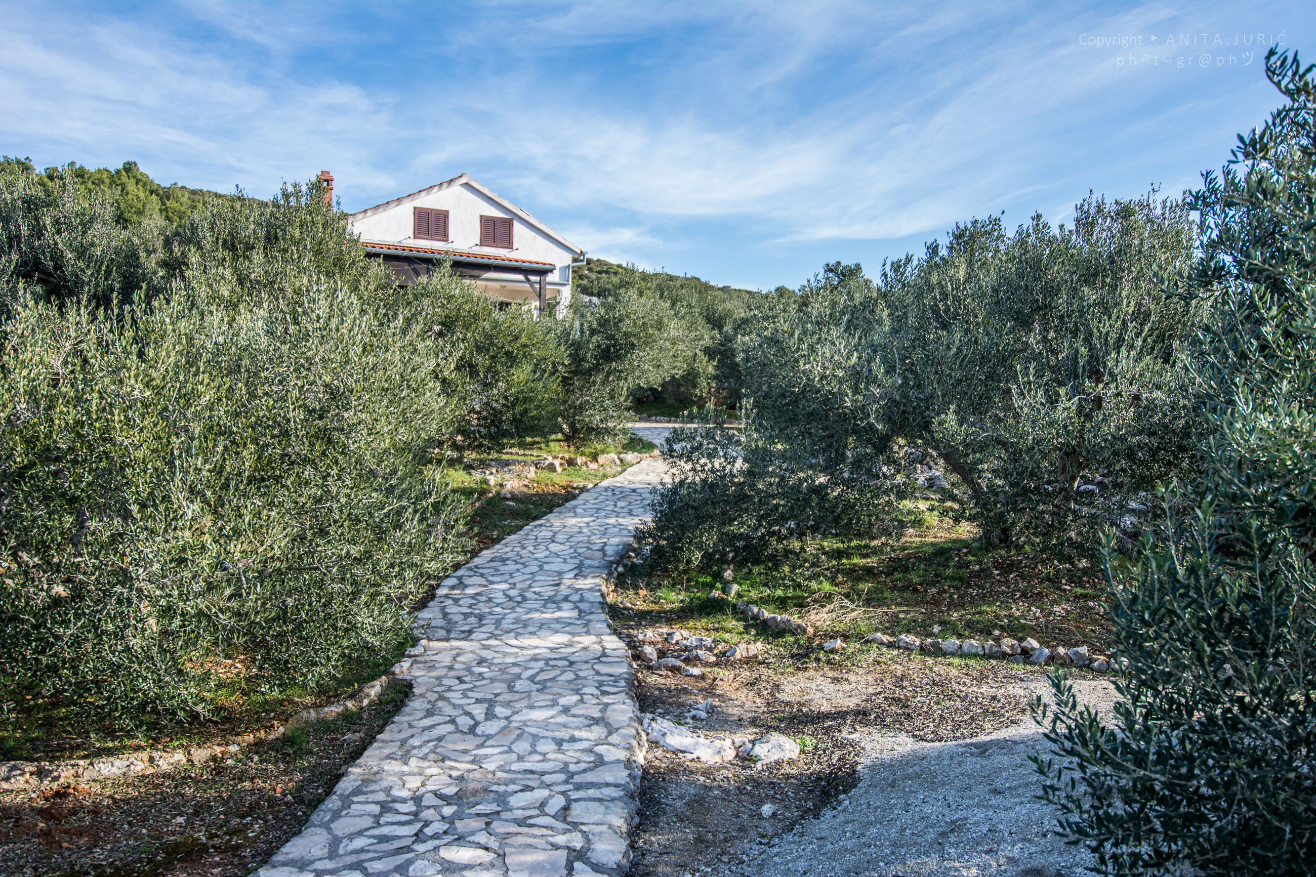 Ferienhaus in Tkon - island Pasman (Kroatien) und 2 Hunde erlaubt