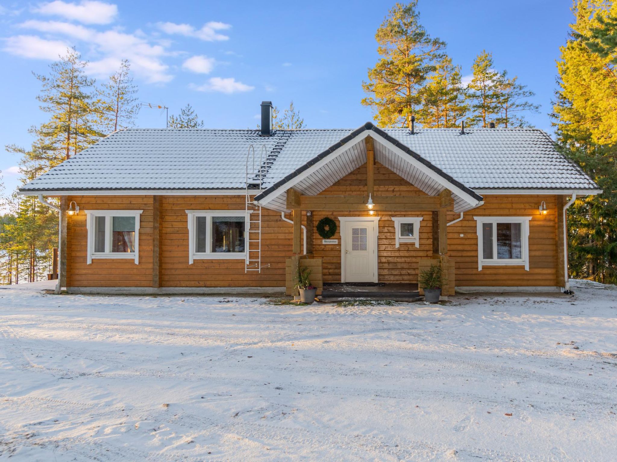 Näsinjoutsen - Tampere