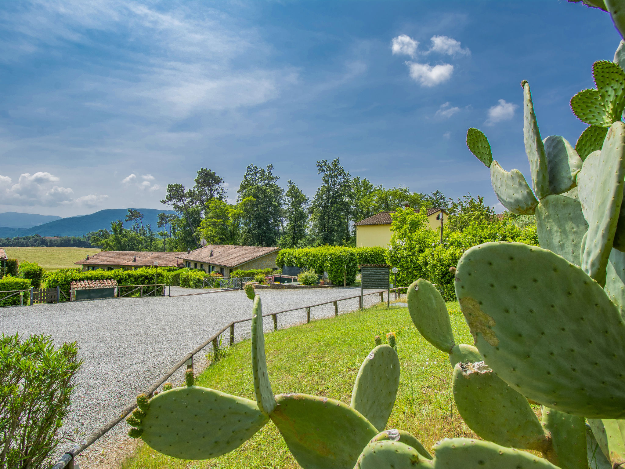 I Pini By Interhome - Lucca