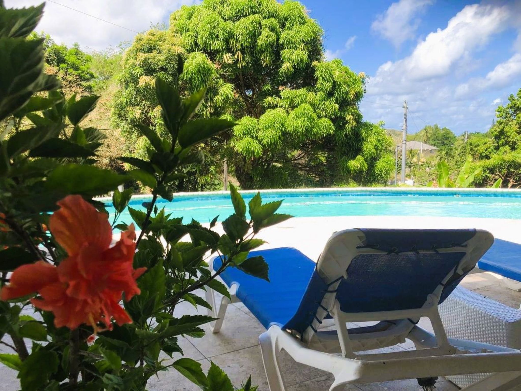 Tolle, Strandnahe Villa Mit Swimmingpool - 트리니다드 토바고