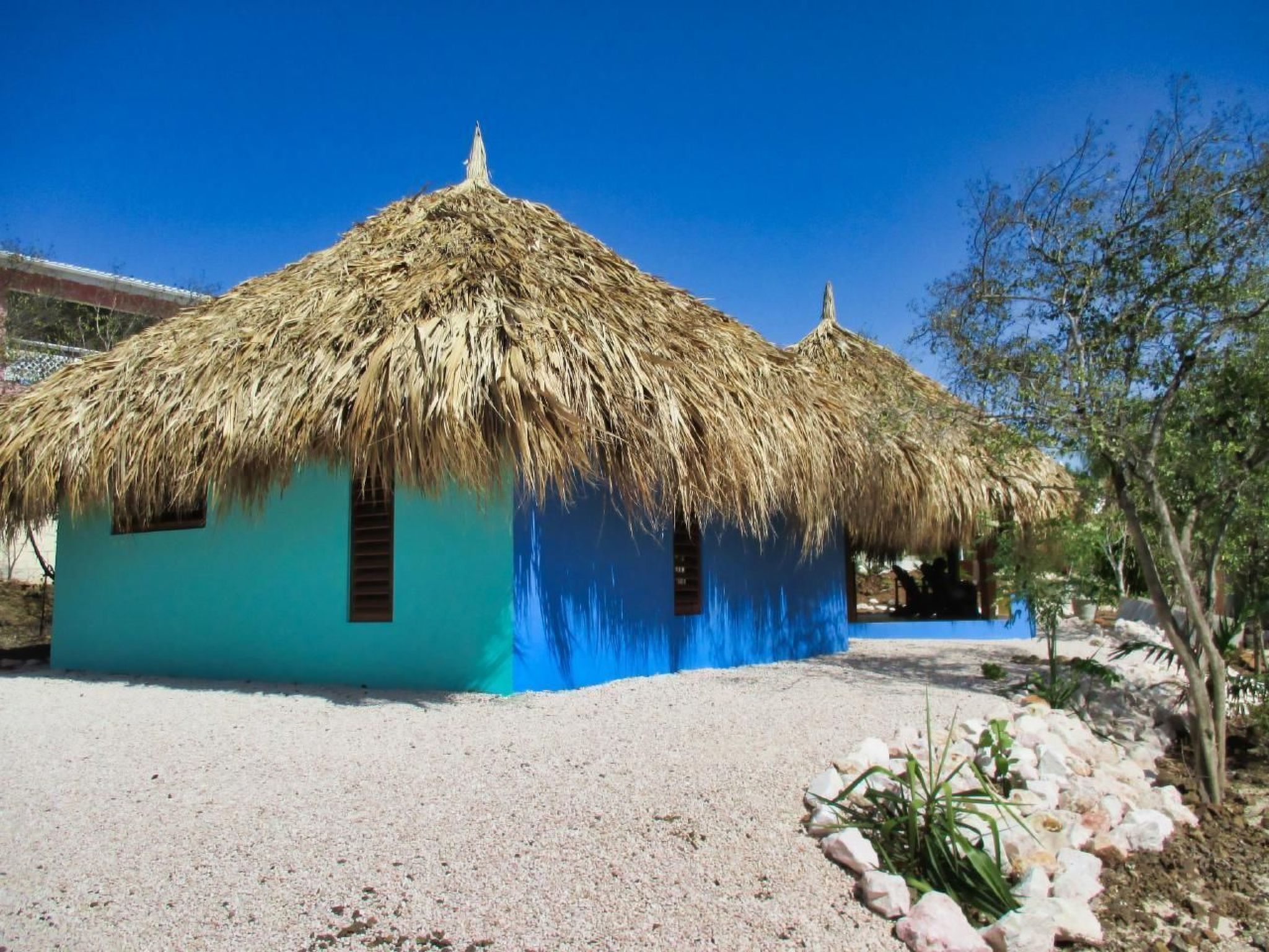 Palapino - Curaçao