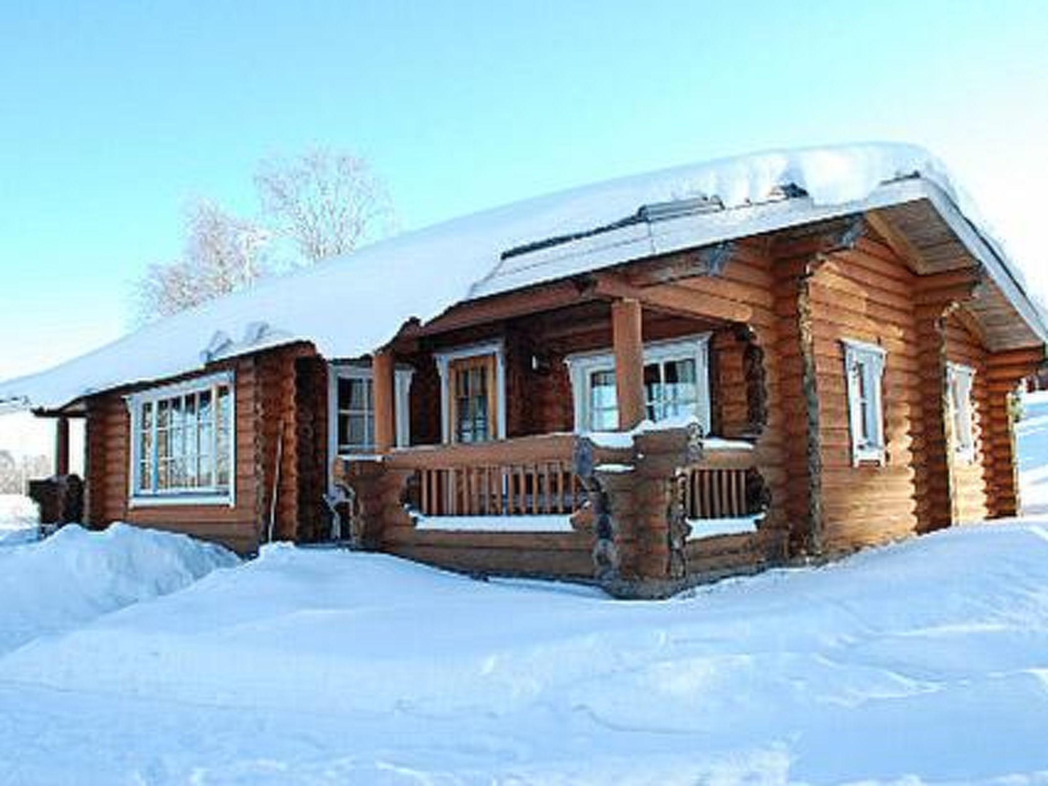 Villiruusu - Russie