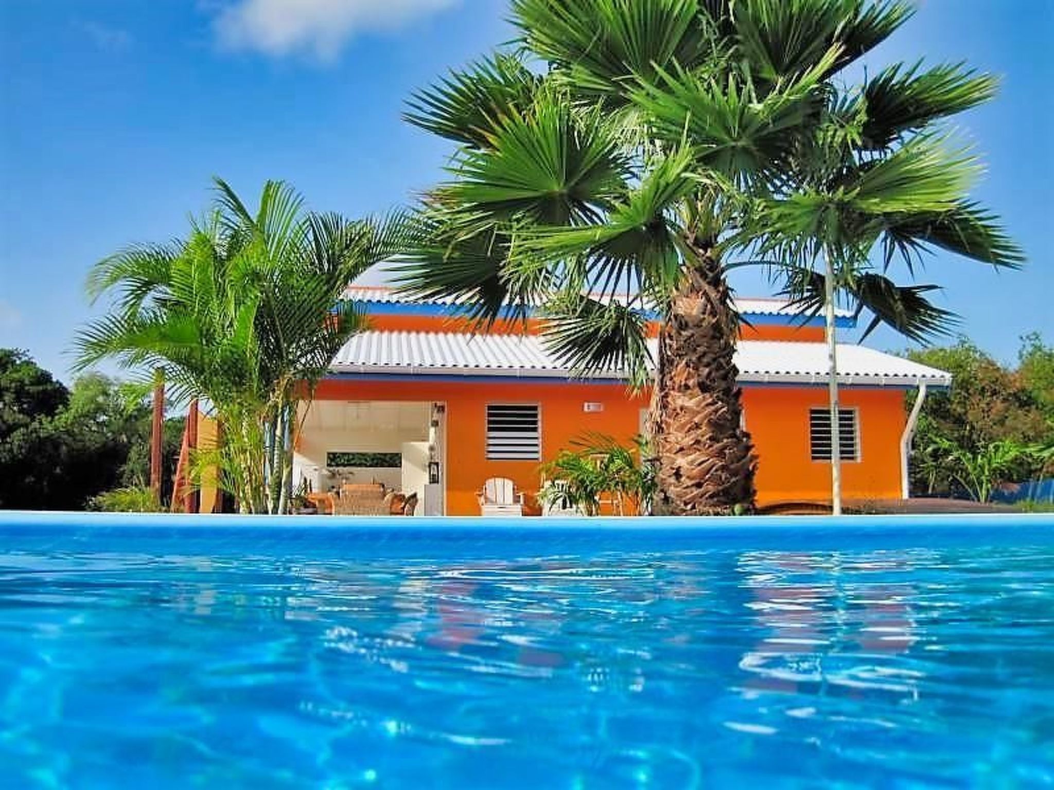 Tikki Balu - Curaçao